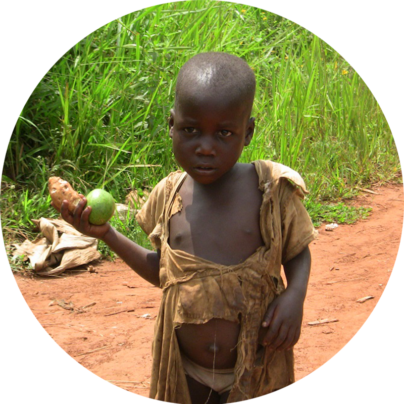 catholic donations best charity